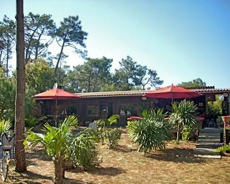 Cap Ferret Bois 44 Hectares Ref 151 Villa Lège-Cap-Ferret