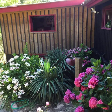 Cap Ferret Bois 44 Hectares Ref 151 Villa *