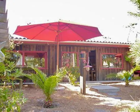 Cap Ferret Bois 44 Hectares Ref 151 Villa *
