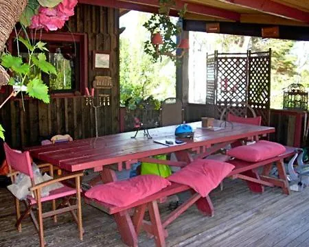 Villa Cap Ferret Bois 44 Hectares Ref 151