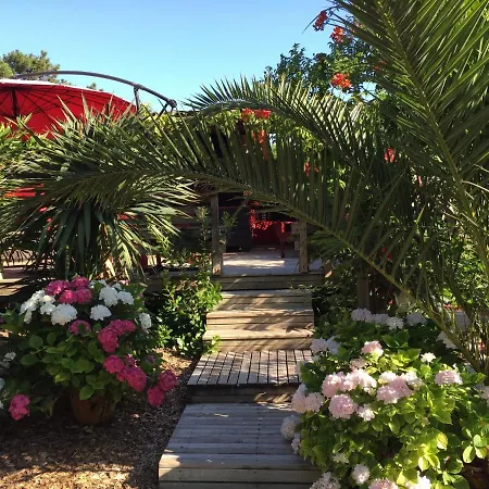 Villa Cap Ferret Bois 44 Hectares Ref 151